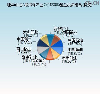 012808基金投资组合(持股)图