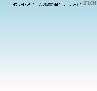 012981基金投资组合(持股)图