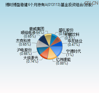 013113基金投资组合(持股)图