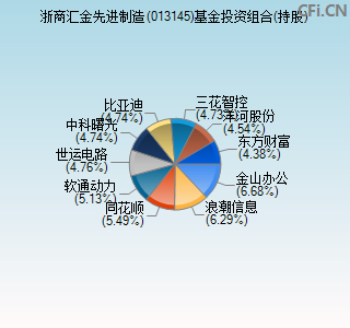 013145基金投资组合(持股)图