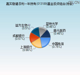 013189基金投资组合(持股)图