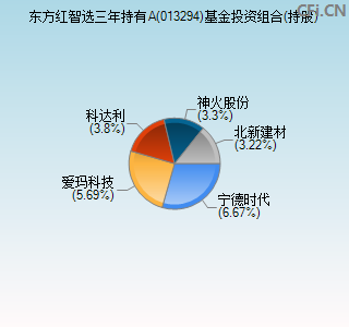 013294基金投资组合(持股)图