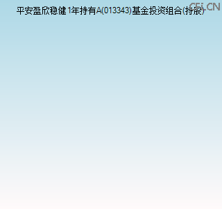 013343基金投资组合(持股)图