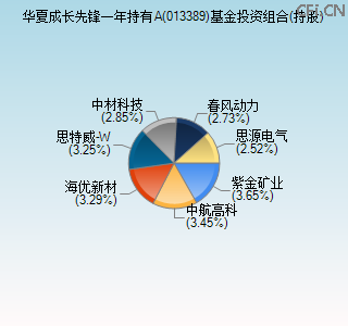 013389基金投资组合(持股)图