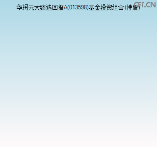 013598基金投资组合(持股)图