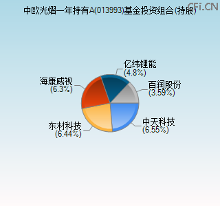 013993基金投资组合(持股)图