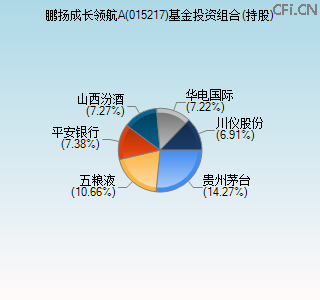 015217基金投资组合(持股)图