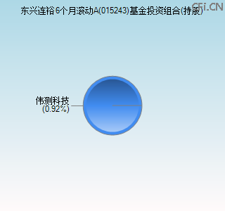 015243基金投资组合(持股)图