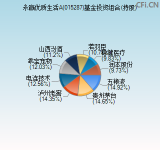 015287基金投资组合(持股)图