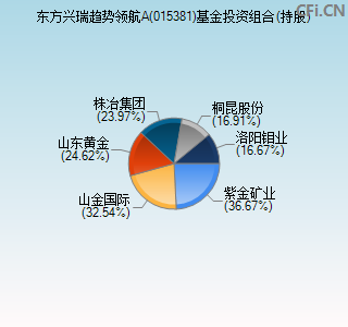 015381基金投资组合(持股)图