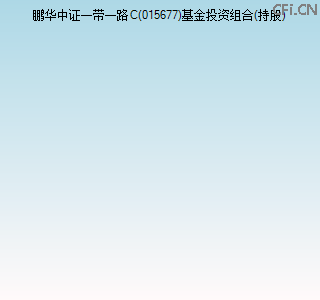 015677基金投资组合(持股)图