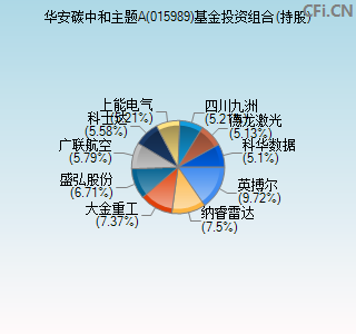 015989基金投资组合(持股)图