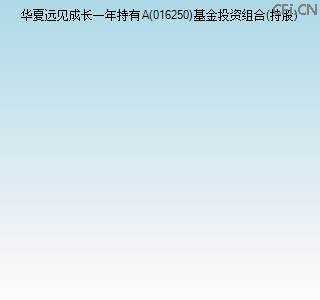 016250基金投资组合(持股)图