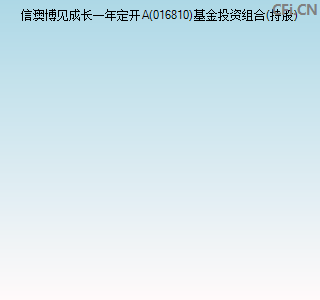 016810基金投资组合(持股)图 016810基金投资组合(持股)图