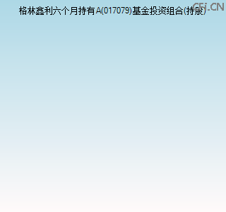 017079基金投资组合(持股)图
