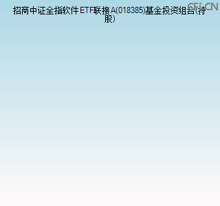 018385基金投资组合(持股)图