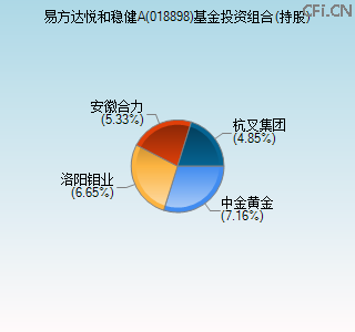 018898基金投资组合(持股)图