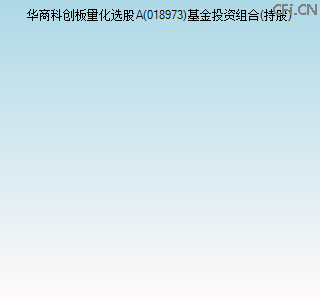 018973基金投资组合(持股)图