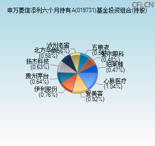 019731基金投资组合(持股)图