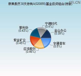 020855基金投资组合(持股)图