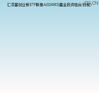 024063基金投资组合(持股)图