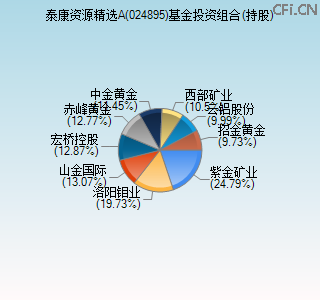 024895基金投资组合(持股)图