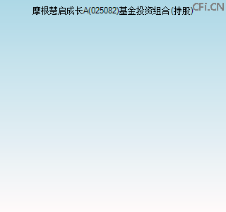 025082基金投资组合(持股)图