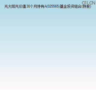 025565基金投资组合(持股)图