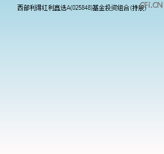 025848基金投资组合(持股)图