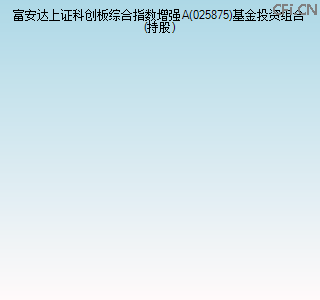 025875基金投资组合(持股)图
