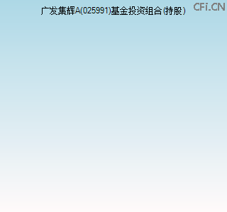 025991基金投资组合(持股)图