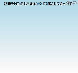 026175基金投资组合(持股)图