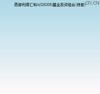 026305基金投资组合(持股)图