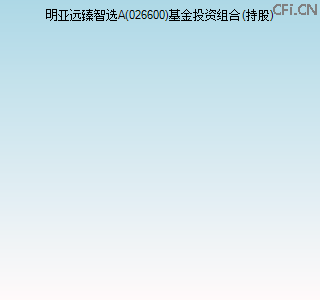 026600基金投资组合(持股)图