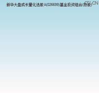 026699基金投资组合(持股)图