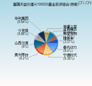 100020基金投资组合(持股)图