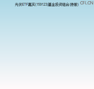 159123基金投资组合(持股)图