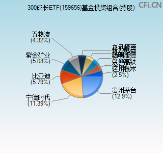 159656基金投资组合(持股)图