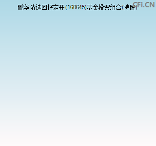 160645基金投资组合(持股)图