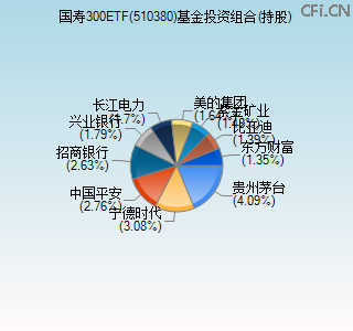 510380基金投资组合(持股)图