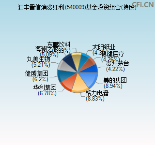 540009基金投资组合(持股)图