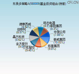 580009基金投资组合(持股)图