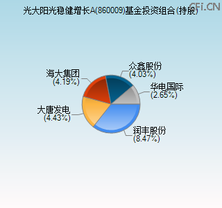 860009基金投资组合(持股)图