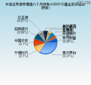 900015基金投资组合(持股)图