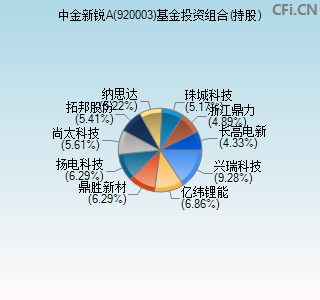 920003基金投资组合(持股)图