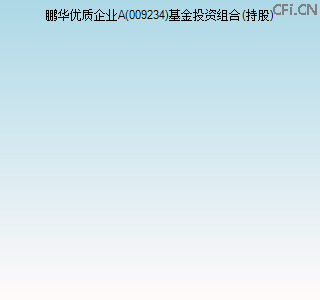 009234基金投资组合(持股)图 009234基金投资组合(持股)图