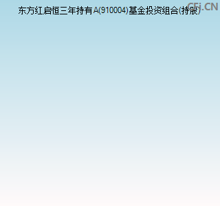 910004基金投资组合(持股)图