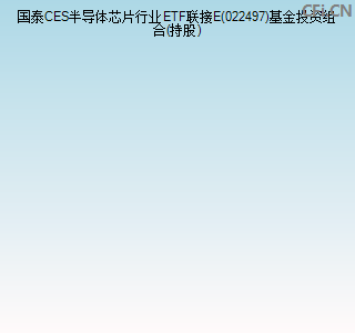 022497基金投资组合(持股)图 022497基金投资组合(持股)图