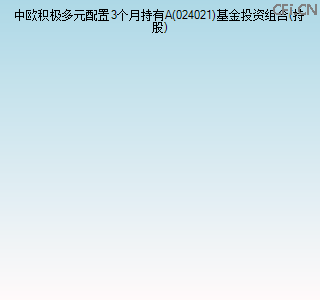 024021基金投资组合(持股)图 024021基金投资组合(持股)图