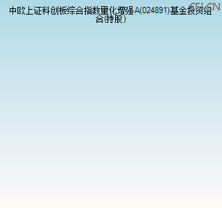 024891基金投资组合(持股)图 024891基金投资组合(持股)图